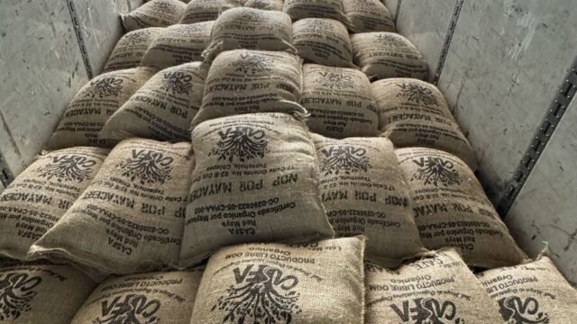 Se reactiva exportación de café chiapaneco a Estados Unidos tras superar aranceles