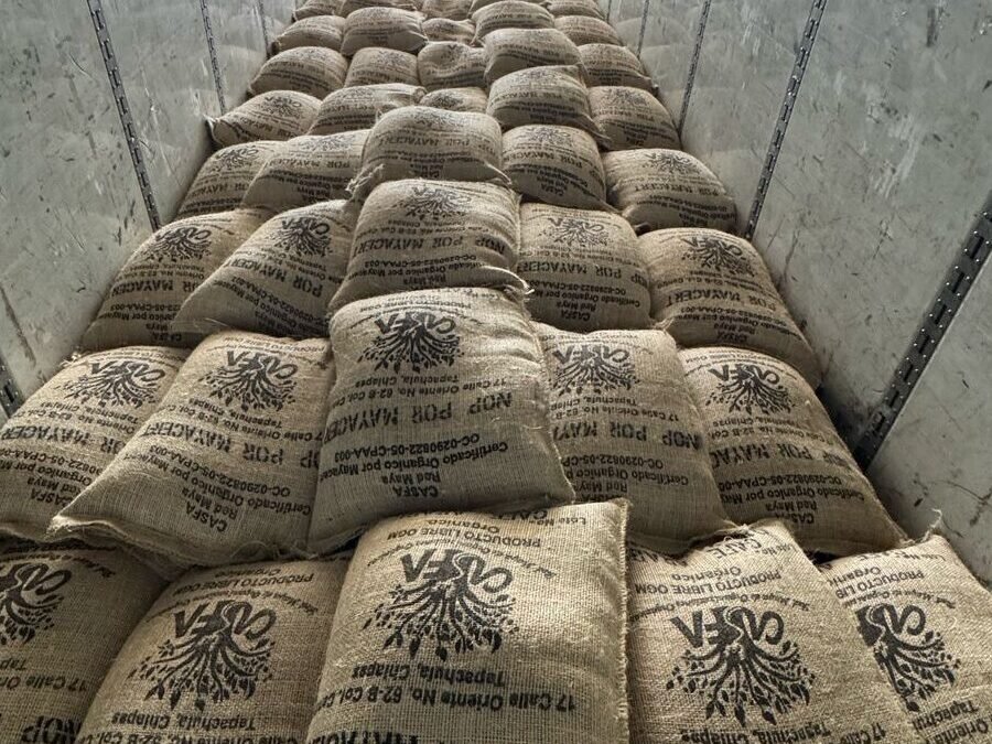 Se reactiva exportación de café chiapaneco a Estados Unidos tras superar aranceles