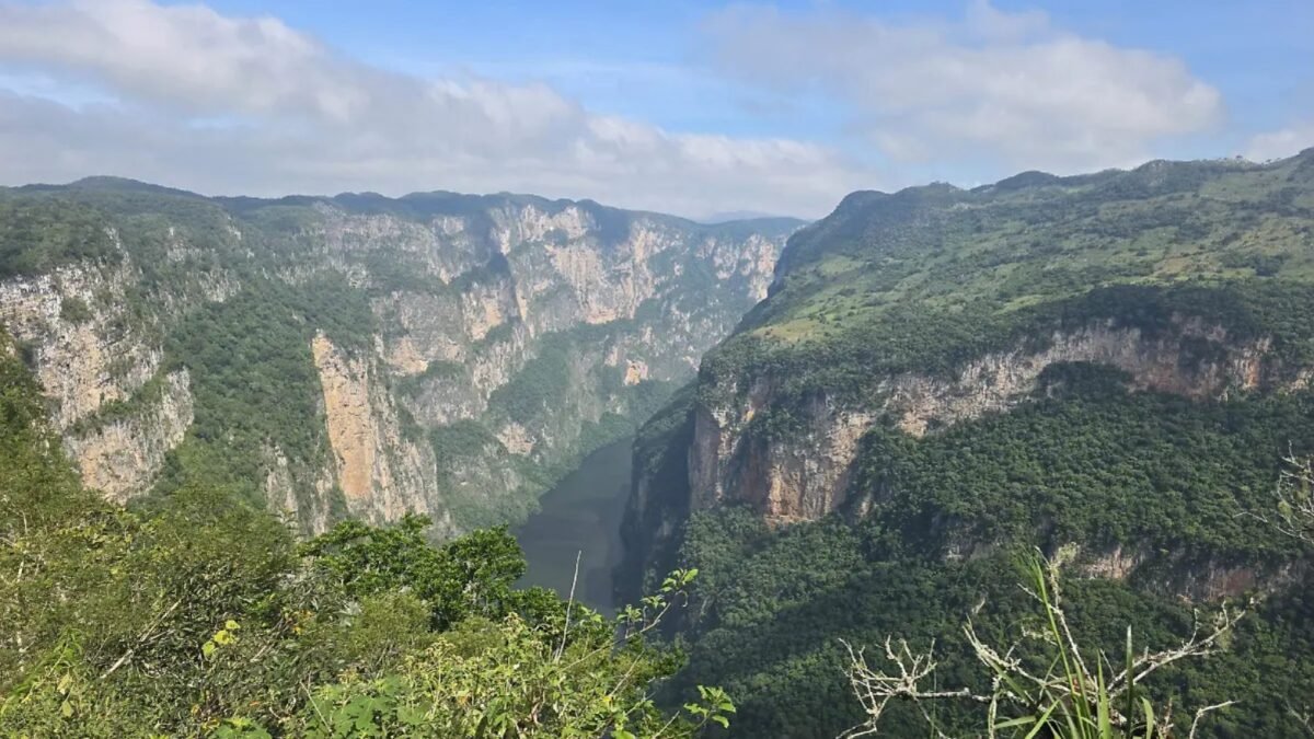 Chiapas protege más de un millón de hectáreas con 40 millones para conservación