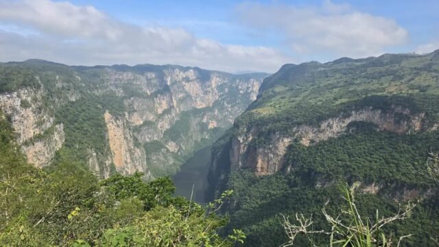 Chiapas protege más de un millón de hectáreas con 40 millones para conservación