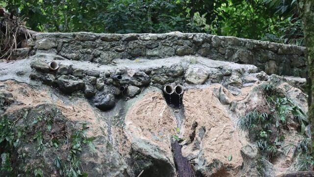 Ejido San Manuel en Palenque denuncia que obra de autopista lo dejó sin agua