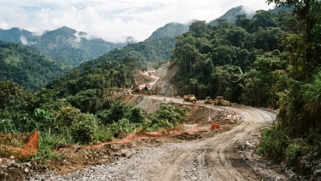 Un centenar de organizaciones piden a Sheinbaum detener autopista Palenque-San Cristóbal