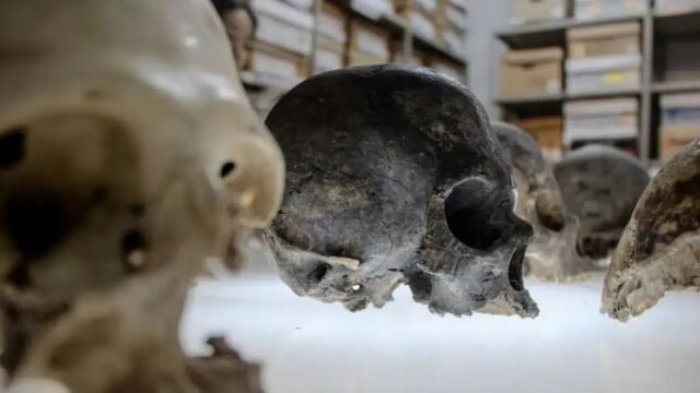 165 cráneos en una cueva de Comalapa: el tzompantli que cambia lo que se sabía de los mayas