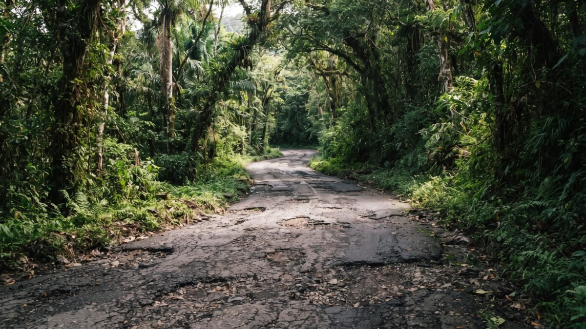 Autoridades ejidales piden rehabilitar carretera Chancalá-Lacanjá Tzeltal en la Selva
