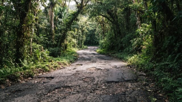 Autoridades ejidales piden rehabilitar carretera Chancalá-Lacanjá Tzeltal en la Selva