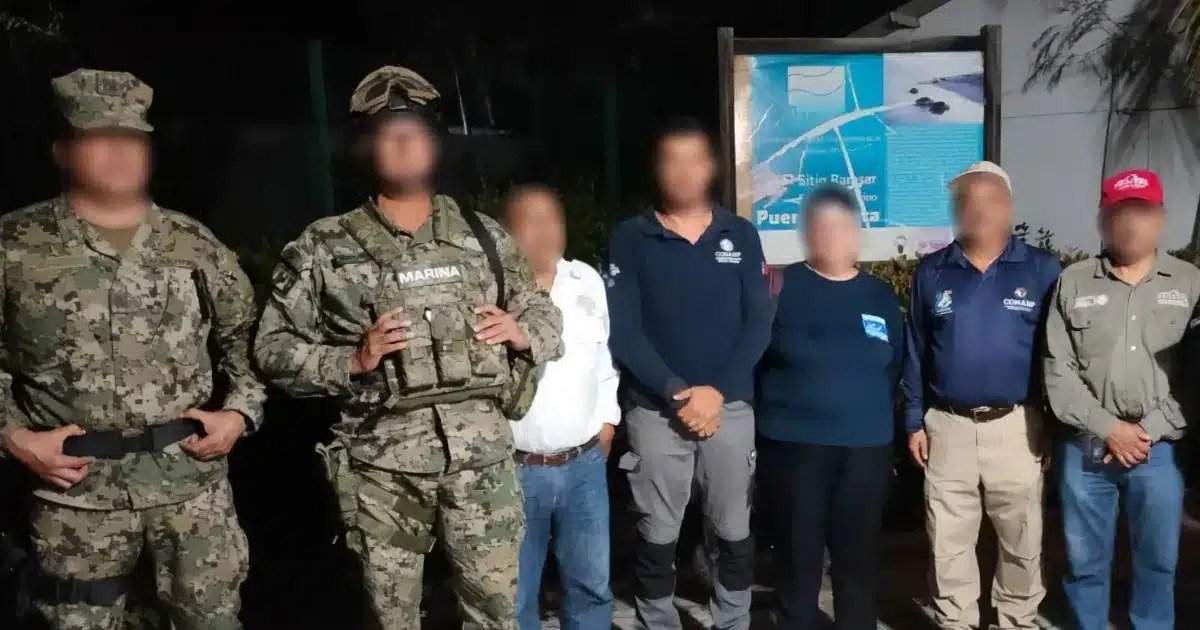 Blindan nidos contra saqueadores: resguardan 87 nidos de tortuga golfina en Puerto Arista