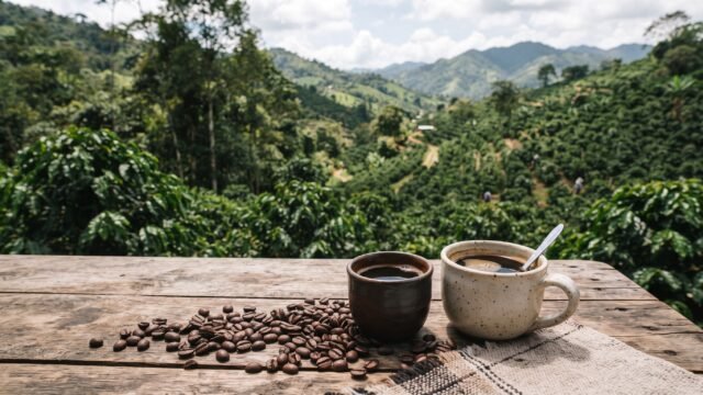 Cafeticultores de Tecpatán presentan su producto en el Día Internacional del Café
