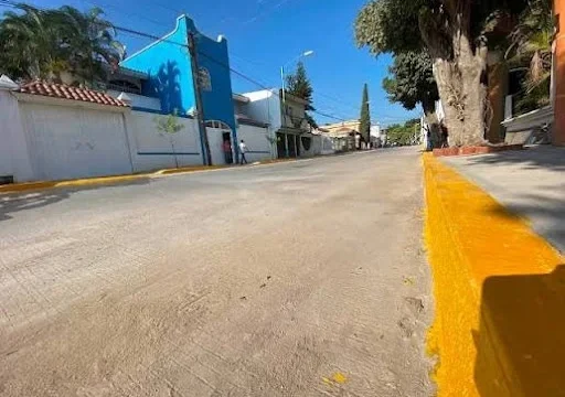 Cambio climático y urbanización afectan a las aves en Tuxtla Gutiérrez