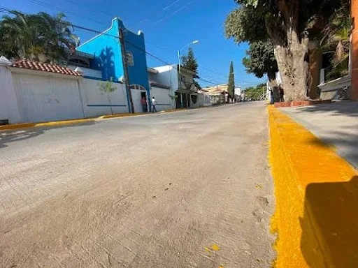 Cambio climático y urbanización afectan a las aves en Tuxtla Gutiérrez