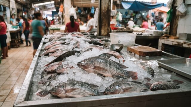 Canirac llama a consumir productos chiapanecos ante competencia de filete chino
