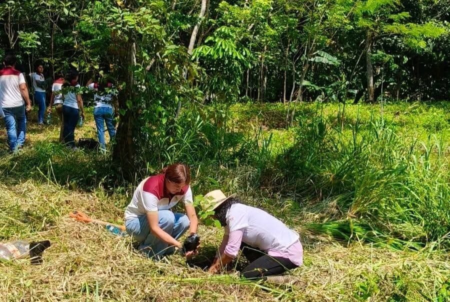 Cecyt 24 impulsa restauración ecológica con especies nativas en Benemérito de las Américas