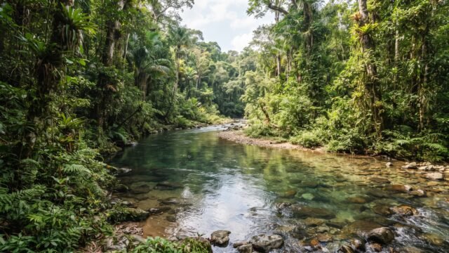 Certifican a La Caverna en Maravilla Tenejapa como área destinada a la conservación