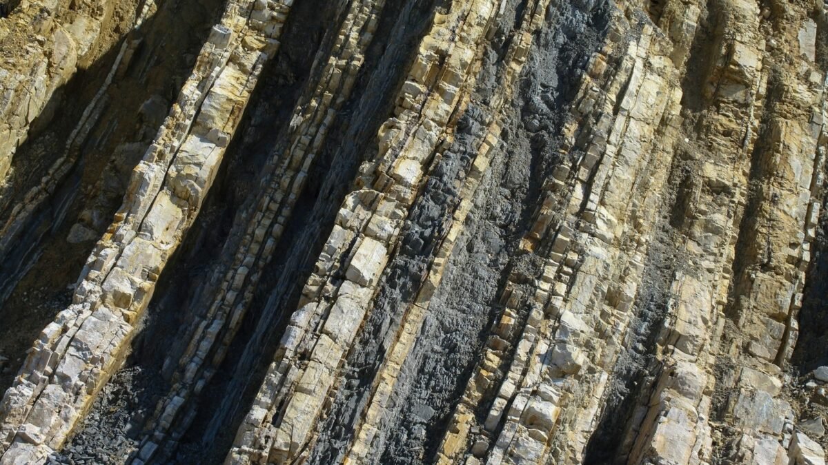 ¡Chiapas fue orilla de mar hace 199 millones de años!: hallan rastro jurásico en La Concordia
