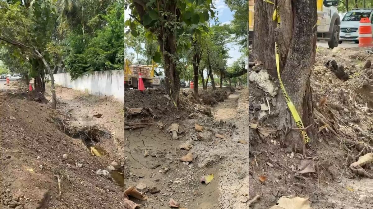 Cierran el Camino al Club Campestre en Tuxtla: temen tala de 40 árboles por zanja de obra