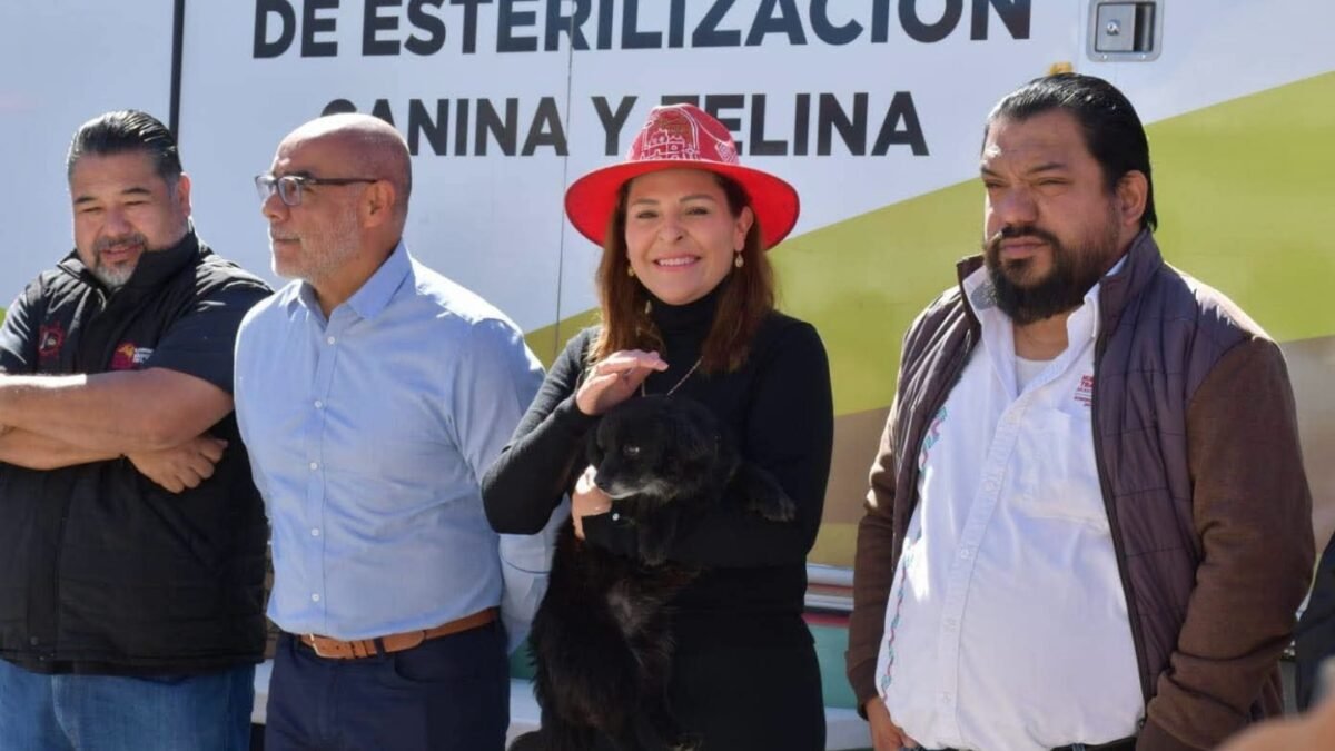 Duplican cirugías gratis en San Cristóbal: Fabiola Ricci lleva esterilización a 400 lomitos