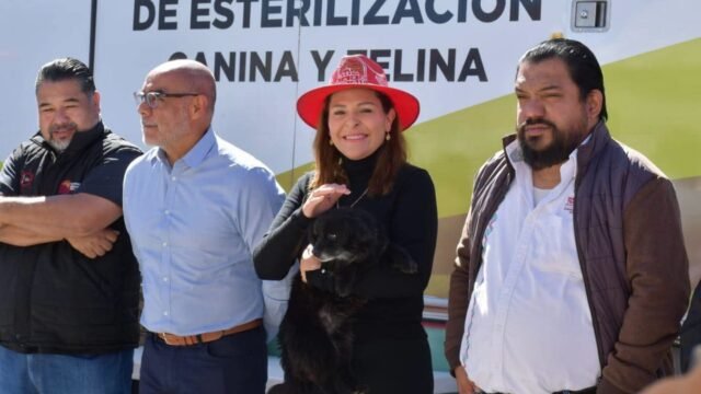 Duplican cirugías gratis en San Cristóbal: Fabiola Ricci lleva esterilización a 400 lomitos