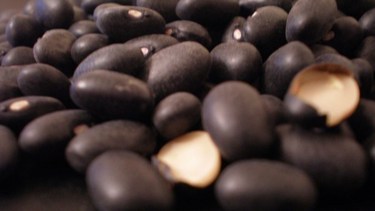 Frijol negro de Chiapas reduce 43% el daño oxidativo en células, revela estudio