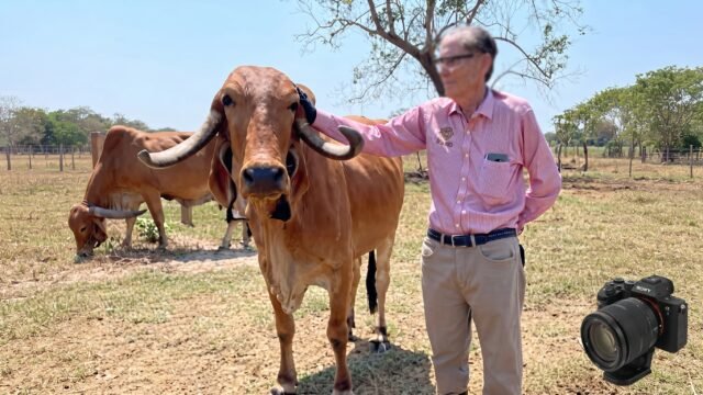 Ganadero denuncia invasión de Finca El Rosario en Arriaga y pide intervención judicial
