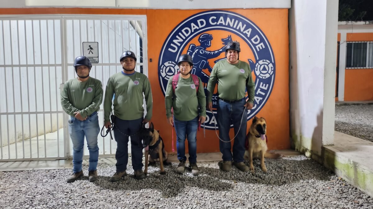 Huracán y Luna entran en acción: despliegan binomios caninos para buscar desaparecidos en Altamirano