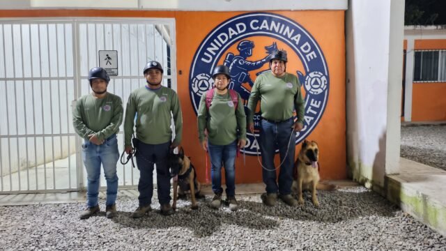 Huracán y Luna entran en acción: despliegan binomios caninos para buscar desaparecidos en Altamirano
