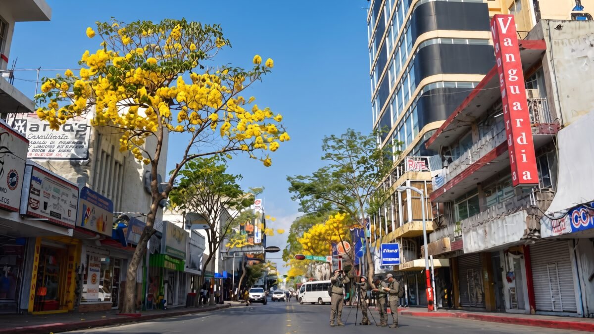Invitan a pajareadas urbanas en Tuxtla Gutiérrez por Festival de Aves Migratorias