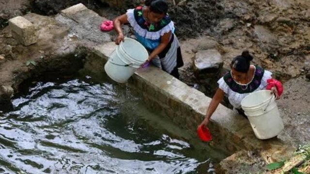 Juntan a los 124 municipios por el agua: capacitan a promotores para cuidarla en Chiapas