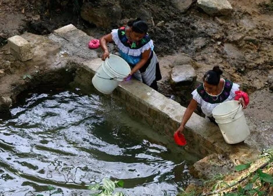 Juntan a los 124 municipios por el agua: capacitan a promotores para cuidarla en Chiapas