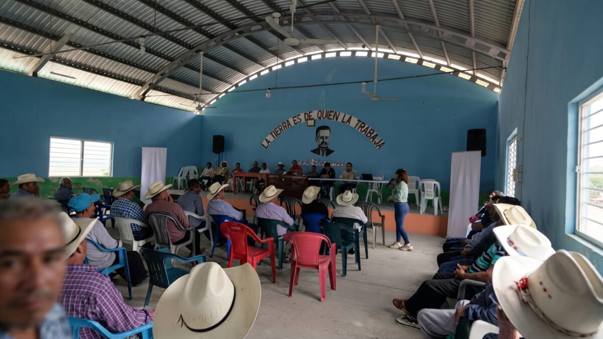 Les cantan la pena en Villaflores: Fiscalía advierte cárcel por tala e incendios a ejidatarios