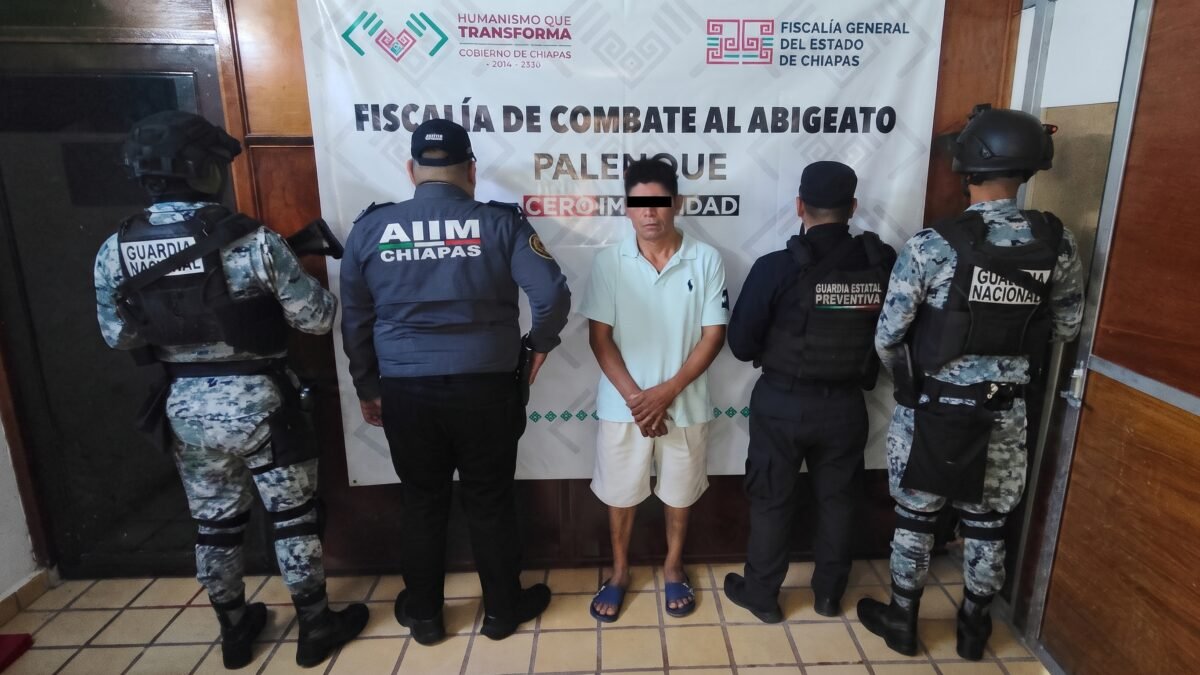 Llegó con pistola y se llevó el ganado: cae presunto ladrón de cinco toretes en Palenque