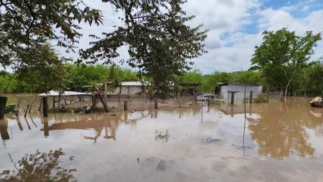 Lluvias dejan casas dañadas y caminos bloqueados en ocho municipios de Chiapas