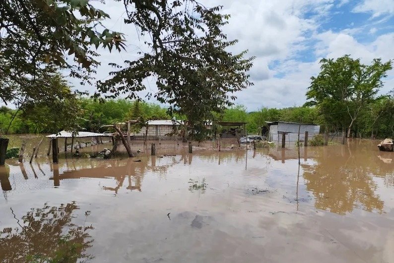 Lluvias dejan casas dañadas y caminos bloqueados en ocho municipios de Chiapas