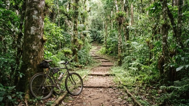 Muere ciclista de Tabasco tras chocar contra árbol en El Arcotete, San Cristóbal
