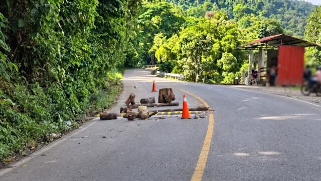 Piden freno a la siembra de topes: saturan la carretera Ocosingo-Palenque y frenan ambulancias