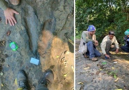 Pisadas de gigantes en Michoacán: confirman 50 huellas de tiranosaurios y raptores en Apatzingán