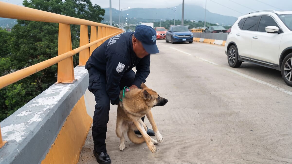 Policías municipales rescatan a un perro en el paso a desnivel del Libramiento Sur en Tuxtla
