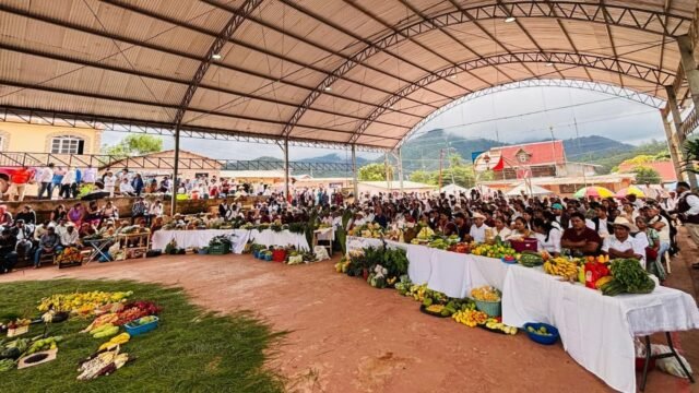 Productores de Siltepec apuestan al mercado local para mejorar economía campesina