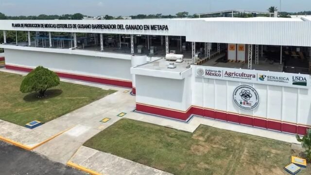 ¡Que se aguanten el tufo!: no cerrarán la planta de moscas en Metapa pese a quejas por hedor