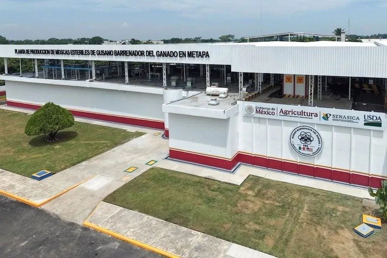 ¡Que se aguanten el tufo!: no cerrarán la planta de moscas en Metapa pese a quejas por hedor