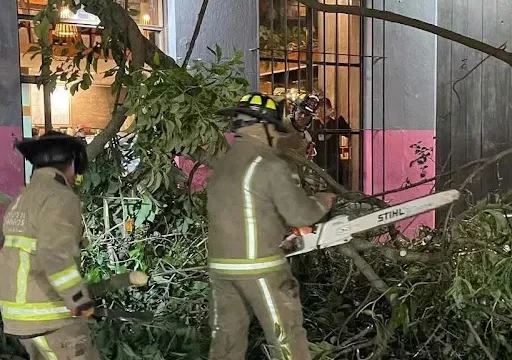 Rama de siete metros cae sobre vehículo estacionado en San Cristóbal de Las Casas