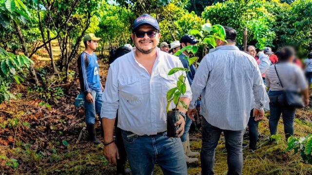 Realizan jornada de reforestación con árboles maderables en Metapa de Domínguez
