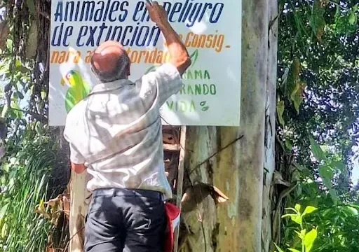 Realizan jornada de reforestación en zonas montañosas de Unión Juárez
