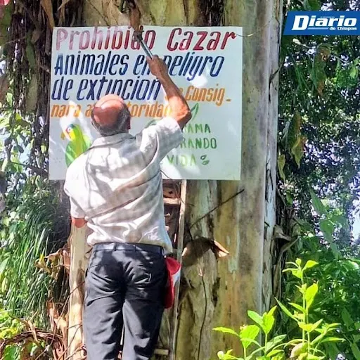 Realizan jornada de reforestación en zonas montañosas de Unión Juárez