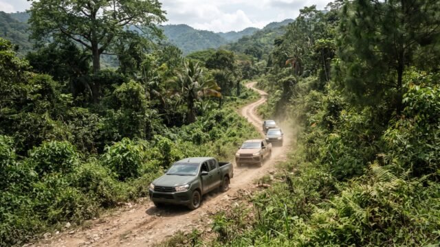 Realizan operativos contra delitos ambientales en Ocozocoautla, San Cristóbal y Ostuacán