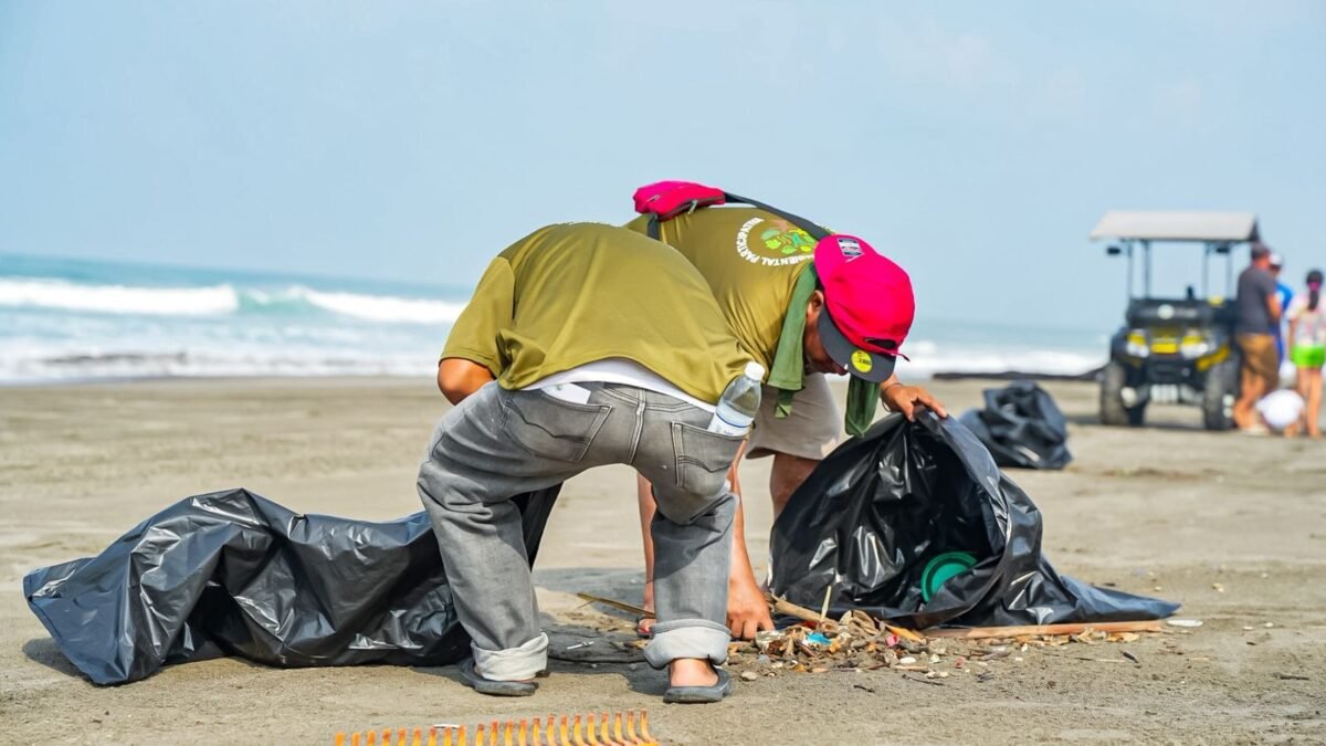 Resguardan 87 nidos de tortuga golfina con más de 6 mil huevos en Puerto Arista, Tonalá