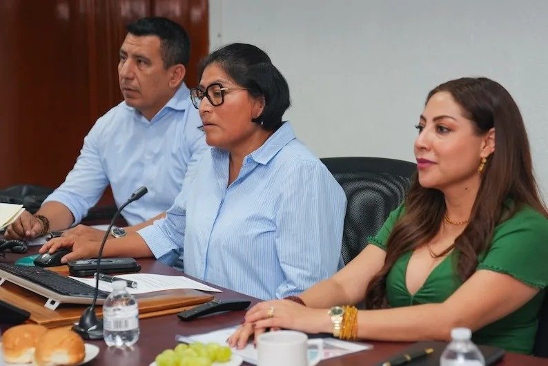 Revisan avances de la carretera Palenque-Ocosingo, Ruta de las Culturas Mayas