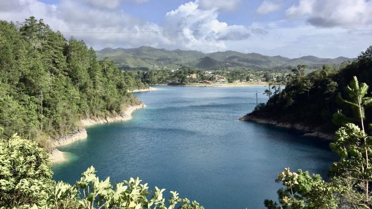 ¡Se apagan los lagos turquesa!: planta muerta en Comitán envenena Montebello desde hace una década
