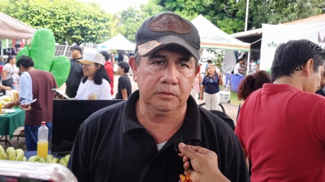 Se desploma 30% el plátano del Soconusco: sequía y químicos caros ahogan a productores