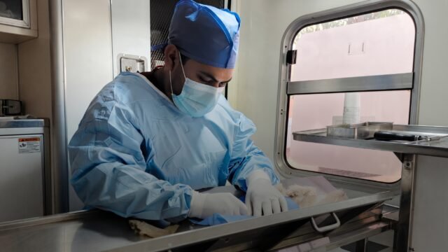 Secretaría de Salud convoca a jornada gratuita de esterilización en Tuxtla Gutiérrez