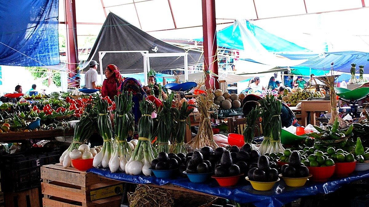 Seis empresas pelean por el mercado de Las Margaritas: ofertas van de 72 a 76 millones