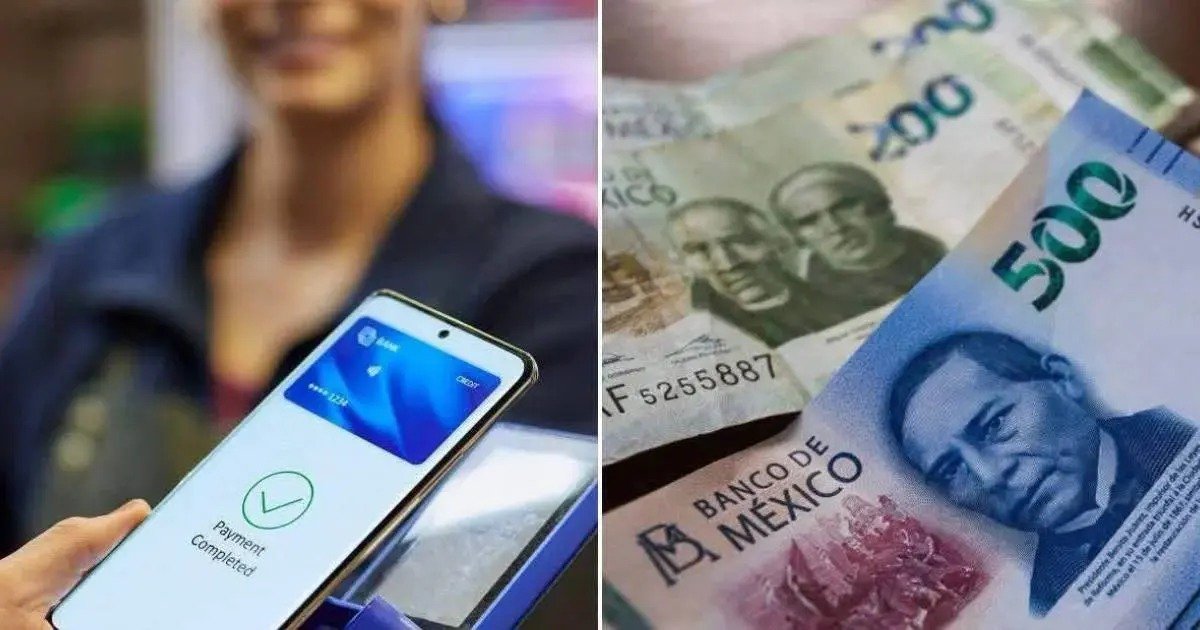 Senado reconoce que 8 de cada 10 comercios en México siguen usando efectivo
